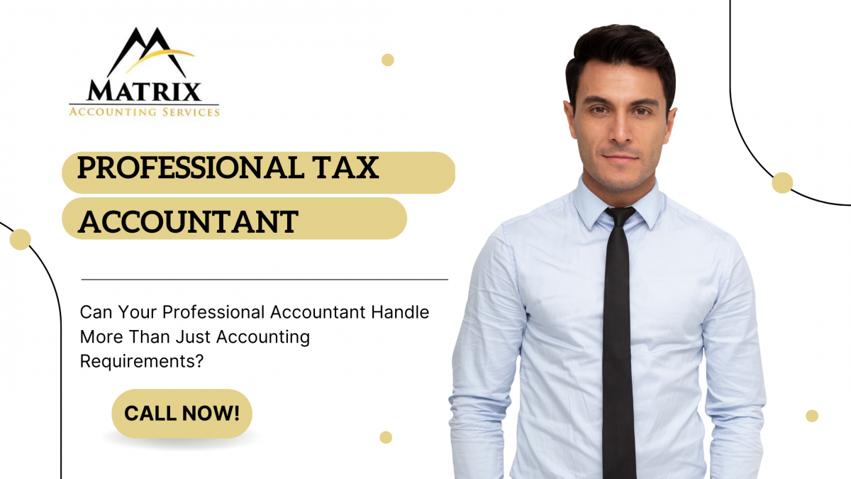 professional accountant - Matrix Accounting