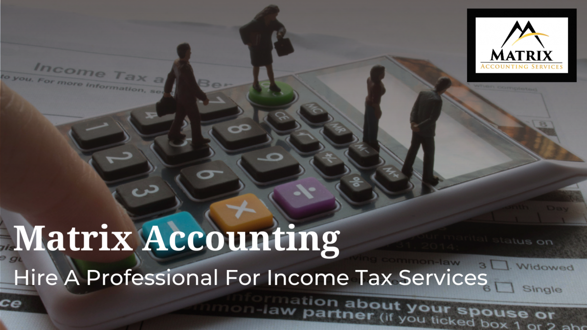 Top Reasons To Hire A Professional For Income Tax Services